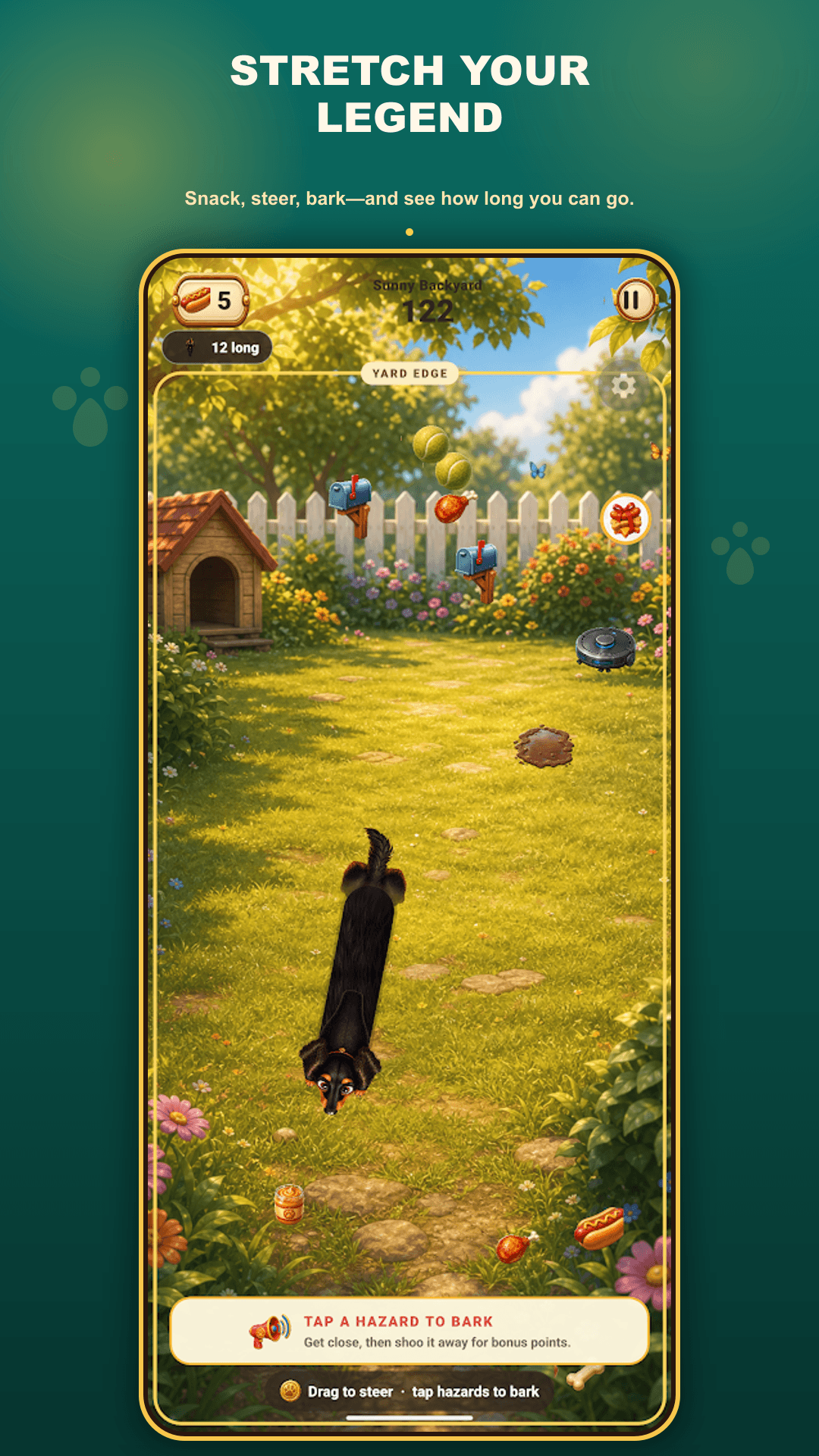 A long dachshund running through a sunny backyard in The Longest Dachshund