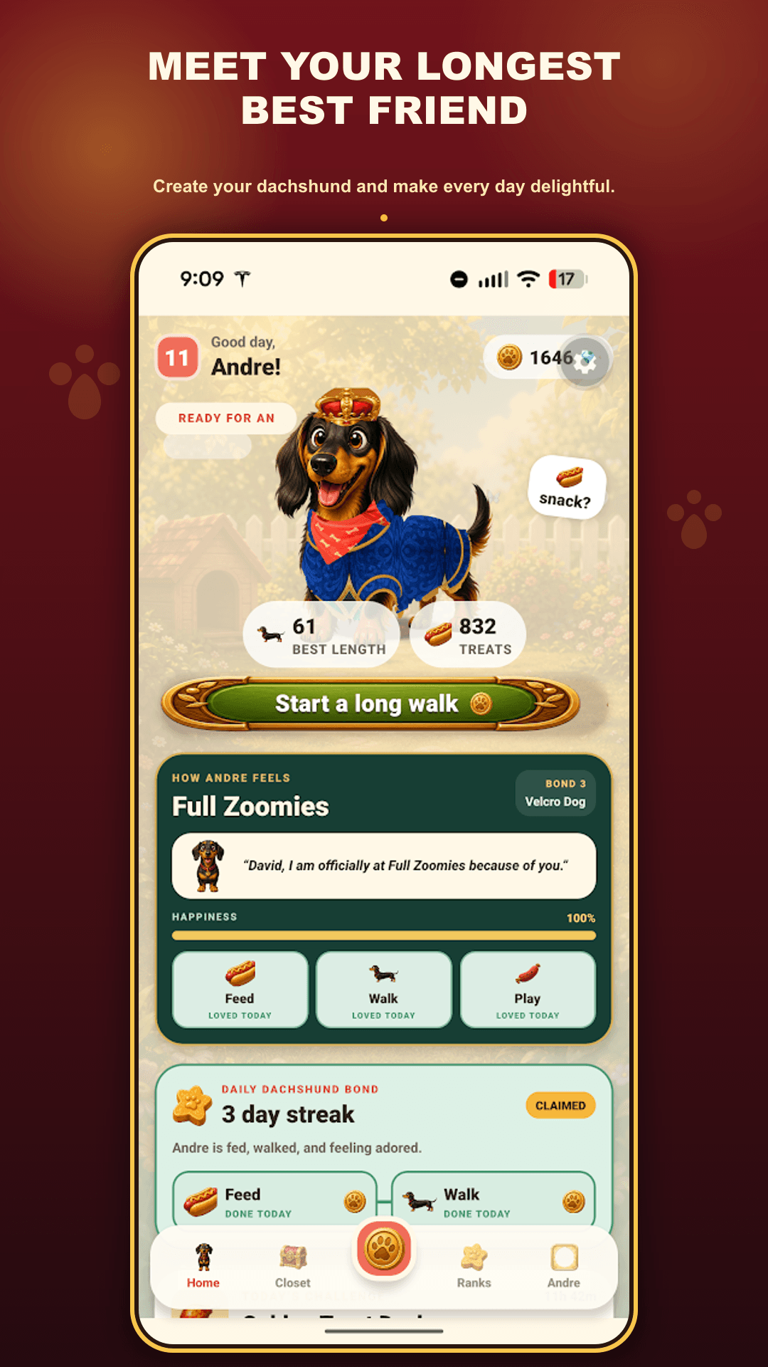 Care for your dachshund and grow your daily bond
